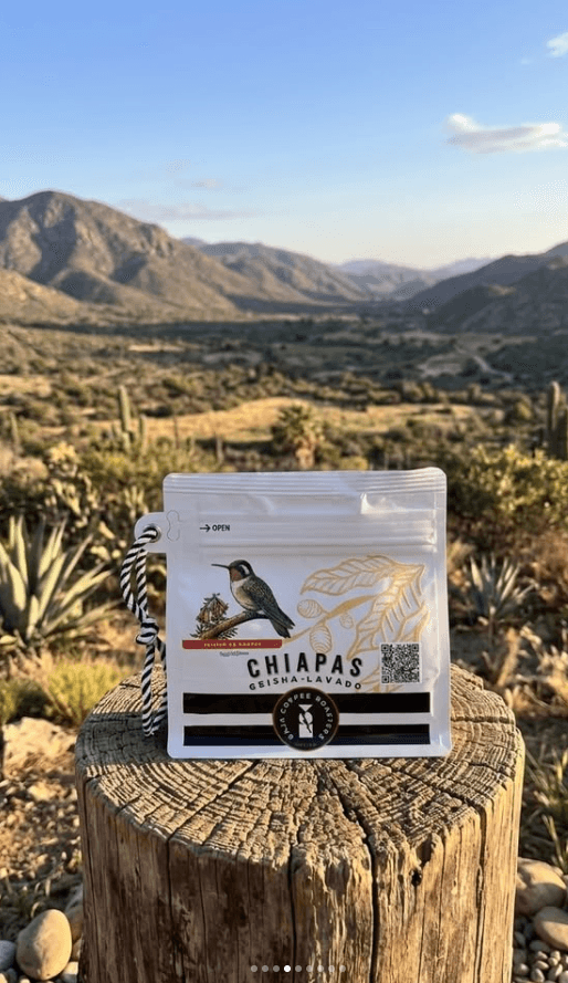 Chiapas Geisha lavado