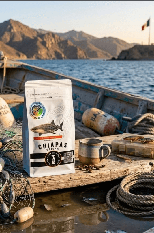 Chiapas Geisha