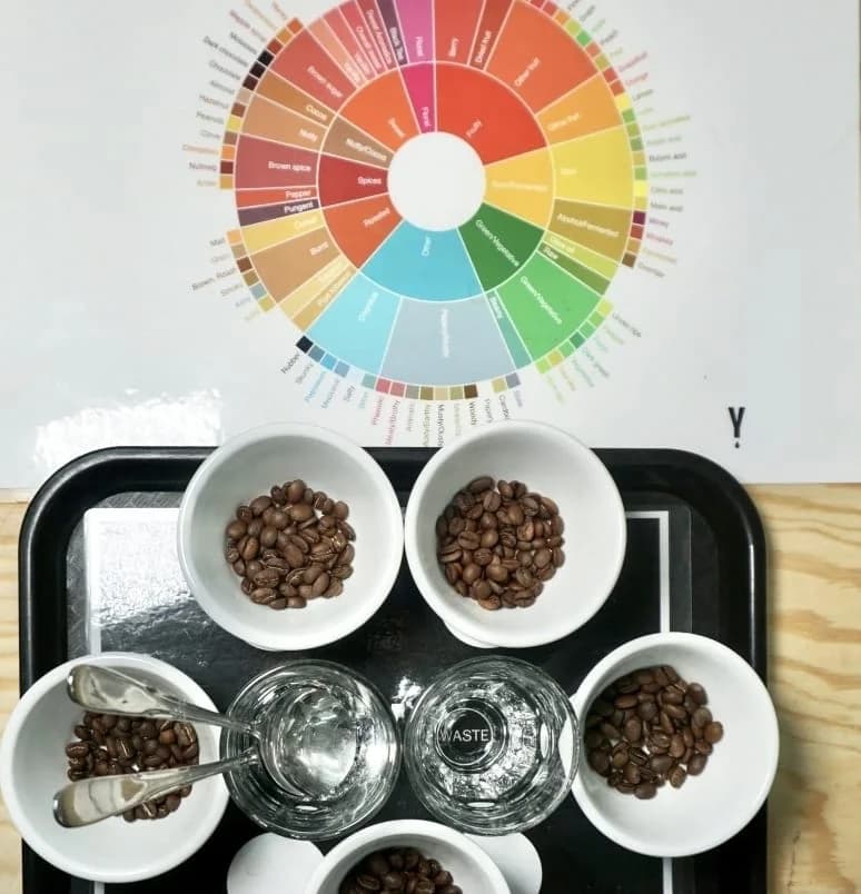 Mesa de catación con rueda de sabores