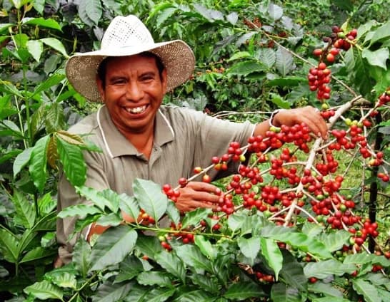 Finca Santa Cruz